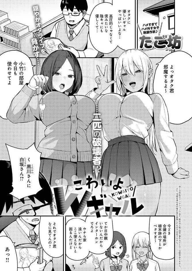 こわいよWギャル